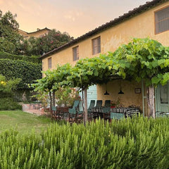 Fabbrica di San Martino Rosato 'Rosaspina'
