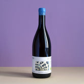 Cantina La Bacheta Luna 2024