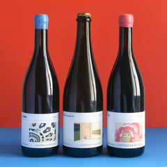 Producer Pack: Cantina La Bacheta
