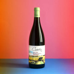 Craven Syrah 'The Firs'