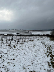 Syfany Rosé de Saignée Sekt Brut Nature