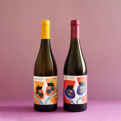 Produzentenpaket: Vigneti Tardis