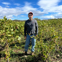 Vina Zorzal Tempranillo 2024