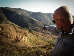 Selvadolce 'Rosso…se' Rossesse 2020