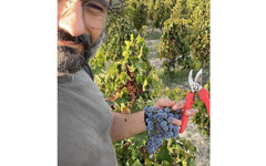 Agricola VINB 'TVB!' Rosé 2022