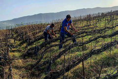 Suertes del Marques '7 Fuentes' 2020