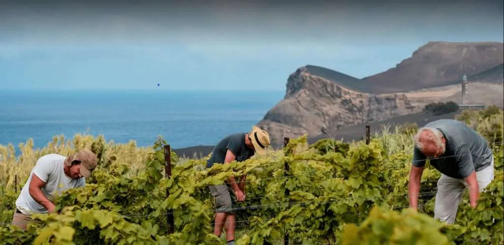 Azores Islands