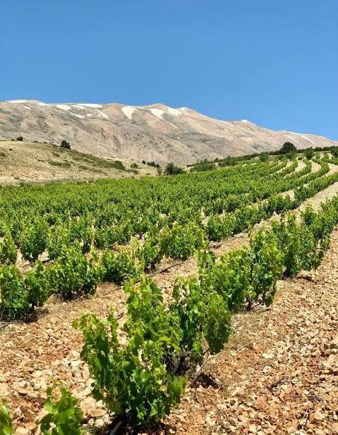 Lebanon