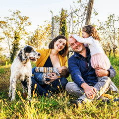 Producer Pack: Villa Calicantus