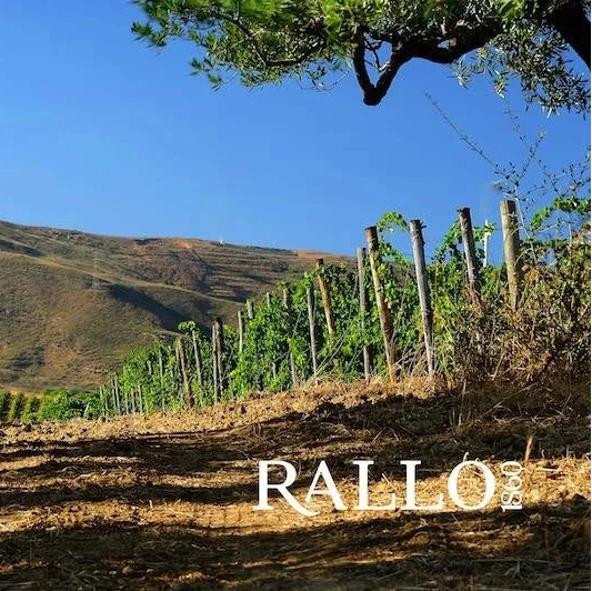 Tule Catarratto, Cantine Rallo