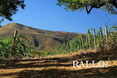 Tule Catarratto, Cantine Rallo 2024
