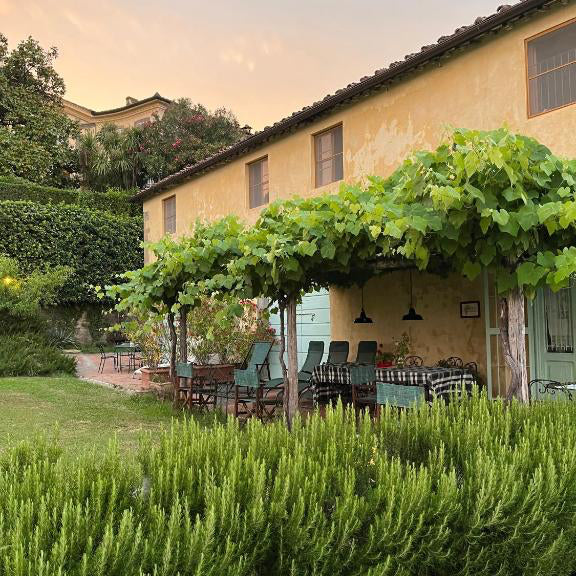 Fabbrica di San Martino Rosato 'Rosaspina'