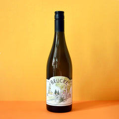 Grüner Veltliner 'Brücke', Anna & Martin Arndorfer 2024