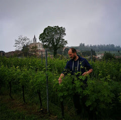 Producer Pack: Villa Calicantus