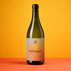 Bidule Sylvaner