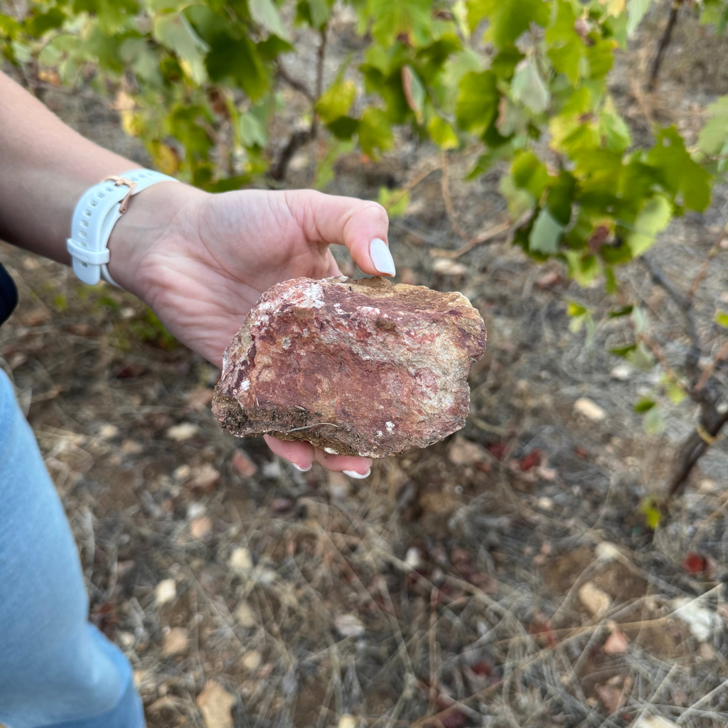 Ligas Assyrtiko Lamda