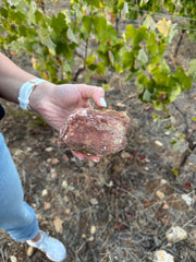 Ligas Assyrtiko Lamda 2022