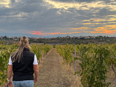 Ligas Assyrtiko Lamda 2022