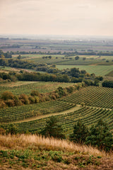 Jaroslav Osička Ryšák