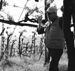 Masiero Giusto Remix NV