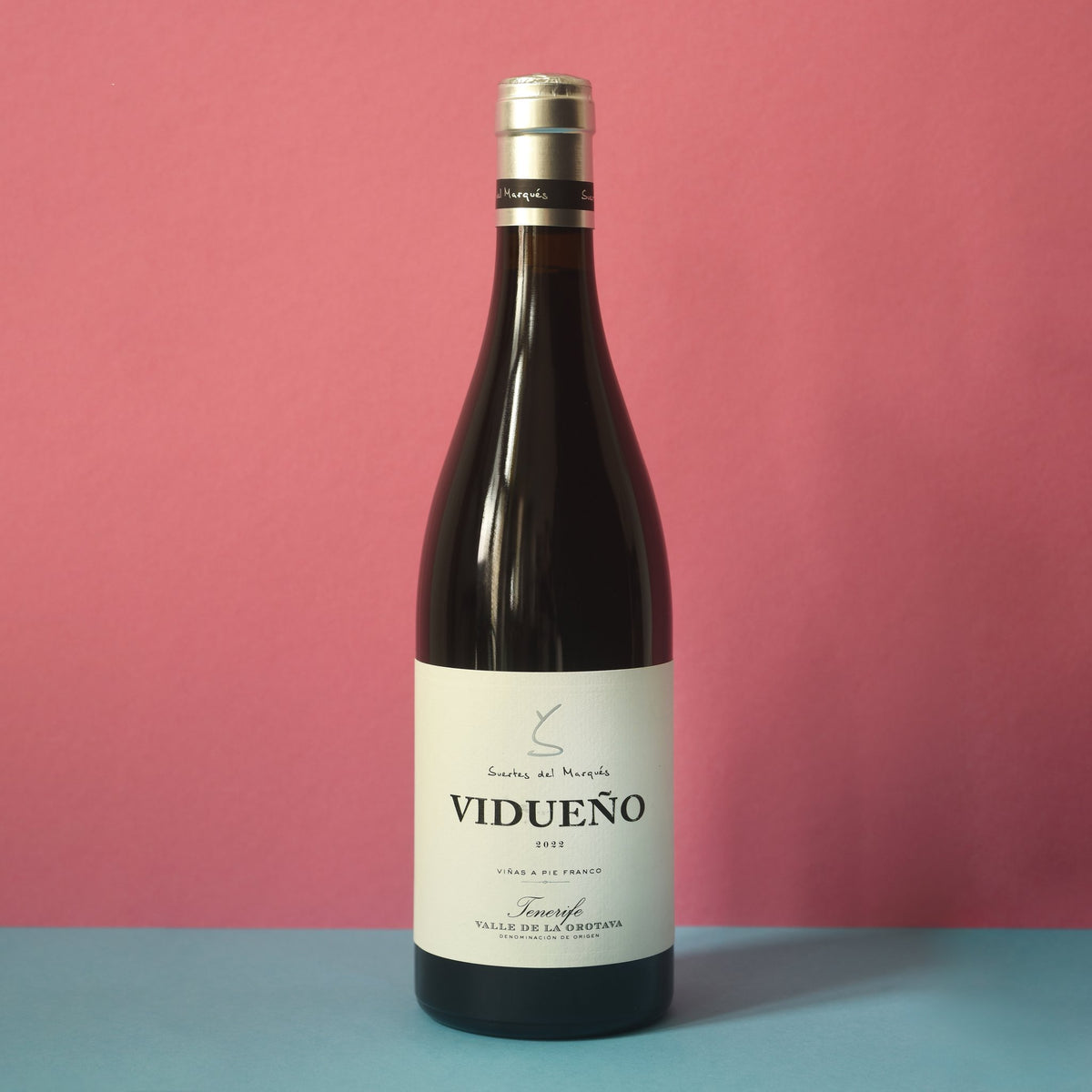 Suertes del Marques Vidonia Vizepräsident 2023