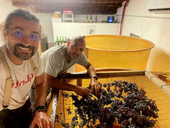 Agricola VINB 'TVB!' Rosé 2022