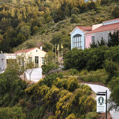 Ariousios Afstiros