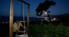 Selvadolce ‘Rosso…se’ Rossesse 2020