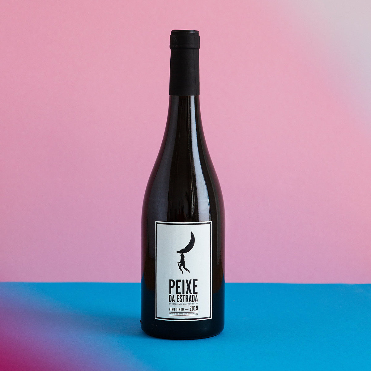 Peixe da Rocha, Peixes 2019 Main image