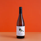 Vina Zorzal Garnacha Blanca 2024